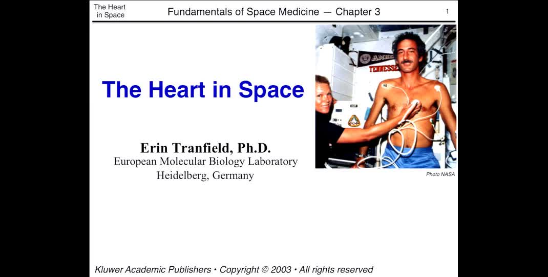 Thumbnail of The heart in space