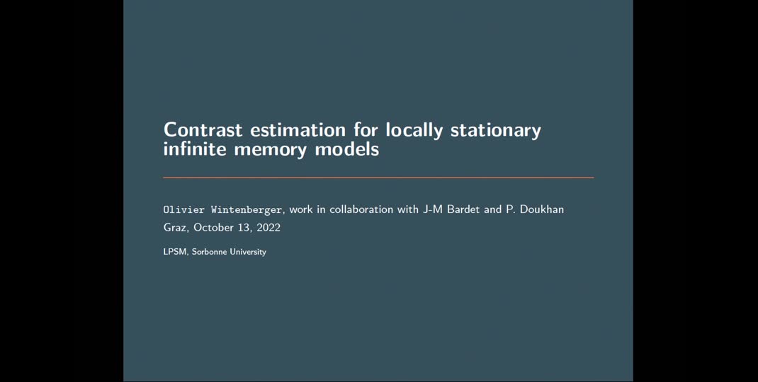 Thumbnail of Contrast estimation of time-varying infinite memory processes