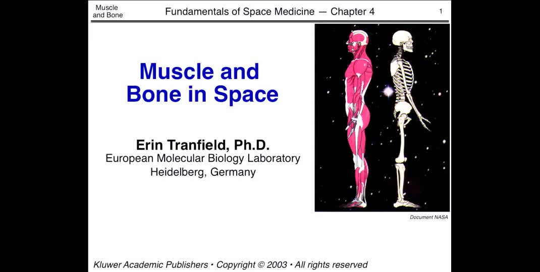Thumbnail of Bone and Muscle in Space