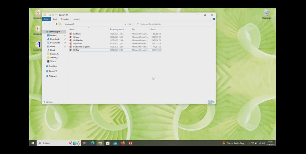 Thumbnail of Tag 1b (HS I)