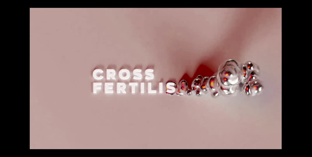 Thumbnail of #1 Cross Fertilisation Winter 2023